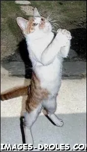 Troisime lieu de plerinage catholique situ dans les Hautes-Pyrnes ...