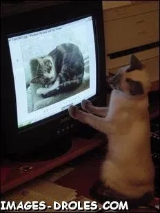 Clbre mission pour la jeunesse prsente par Lola, le Gluon du trou ...