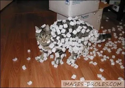 Phnomne physique se produisant par l'arrachement des lectrons superficiels des atomes, souvent par simple friction ...