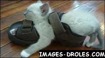 La tong ou l'espadrille en sont des exemples ...