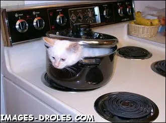 Ustensile de cuisine pouvant prendre le sens de chanter faux ...