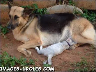 Comment se conjugue le verbe  tter   la premire personne du pluriel de l'imparfait du subjonctif ?