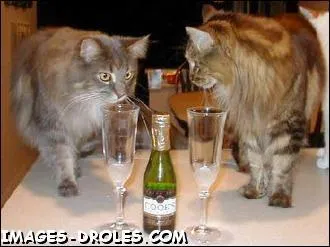 Quand on trinque avec un thalandais, comment lui dire  votre sant ?