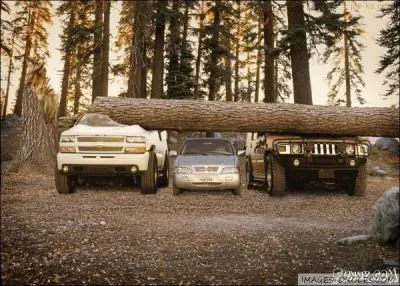 Comment dsigne-t-on la faon de se garer entre deux voitures perpendiculairement  la route ...