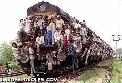 Pou du pubis, cet insecte est plutt collant ...