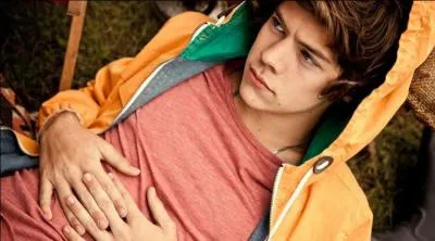 Harry est le ... du groupe !