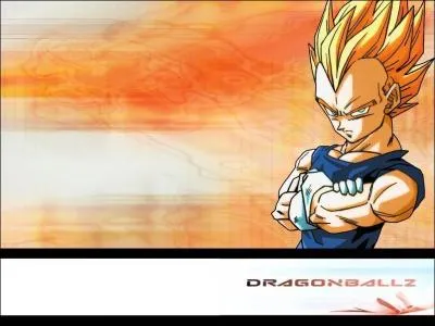 Qui est ce?(attention piege)