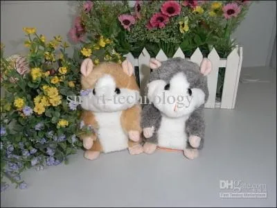 Sur l'image, il est vident qu'il y a ...