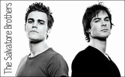 Stefan et Damon ont des origines.....