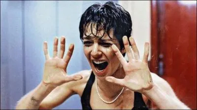 Quel est le titre de ce film ?