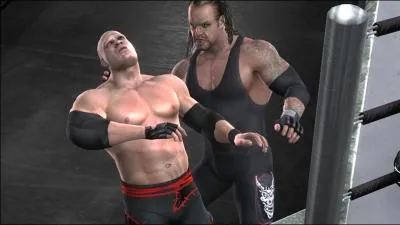 Kane et l'Undertaker forment une quipe :