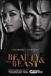 Dans beauty and the beast, Quel mtier occupe Catherine ?