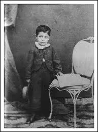 Qu'est-ce qui caractrise les symphonies de Mahler ?