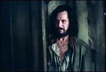 Est-ce Sirius Black ( le parrain de Harry ) reprsent sur cette photo ?