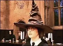 Dans quel maison Harry est-il envoy par le Choixpeau Magique ?