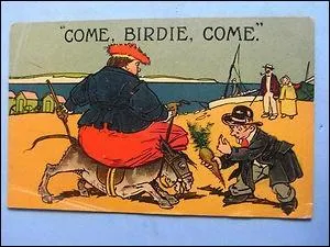 Hi han ! Un DONKEY, c'est un ne, mais aussi une personne stupide, comme en franais. Mais si on vous dit :  That girl got a donkey , que comprenez-vous ?