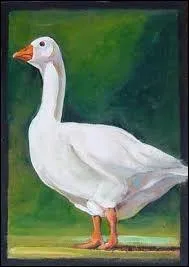 You like birds ? OK, vous aimez les oiseaux... Mais BIRD peut aussi dsigner :