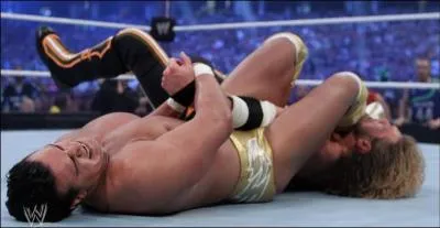 Quel est le finisher de Alberto del Rio ?