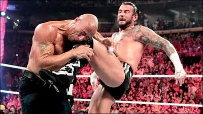 Quel est le finisher de CM Punk ?