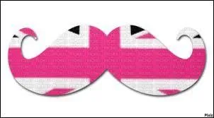 Quel drapeau cette moustache reprsente-t-elle ?