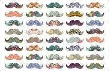 Combien y a-t-il de moustaches ?