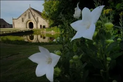 Btiment imposant construit en 1220 par Hugues des Roches, je suis :