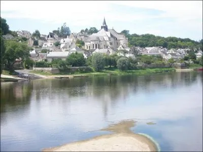 Quelle rivire se jette dans la Loire  Candes Saint Martin ?