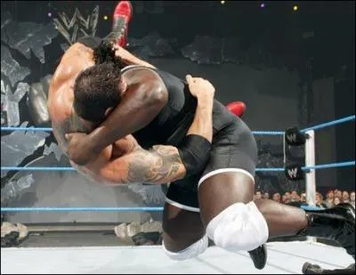 Quelle est cette prise ?