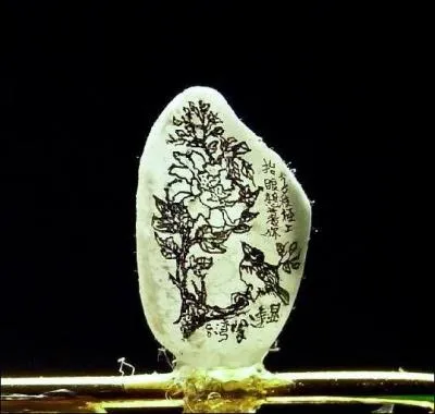 Quel est le plus petit mdium utilis par les humains pour peindre (soyez logique, c'est facile) ?