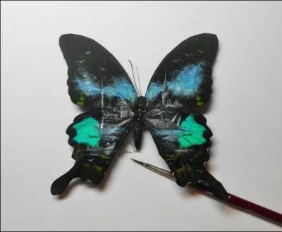 Restons dans le sujet. Cet artiste peintre est spcialis dans la peinture sur les plus petits supports du monde, comme ceux cits dans la question prcdente. Alors pour lui, les ailes de papillon sont un format gant. Il s'appelle Hasan Kale et il est d'origine...