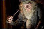 Que fait Dumbledore ?