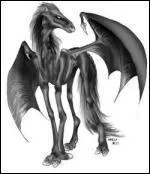 Comment ces cratures s'appellent-elles ?