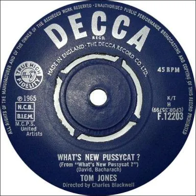 Quel est le nom de cette clbre chanson interprte par Tom Jones et nomme aux oscars en 1965 ?