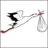 Tu__________la nouvelle :