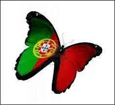 Quel est ce drapeau en forme de papillon ?