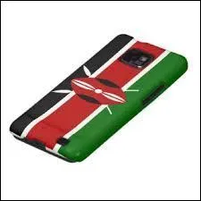 Quel est le drapeau sur ce portable ?