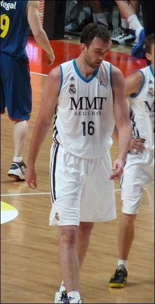 Qui est ce basketteur bosniaque ?