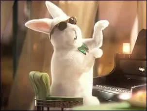 Ce lapin appartient  ...