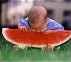 Avoir ... plus gros que le ventre.