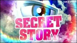 En quelle année "Secret Story" est-il arrivé en France ?