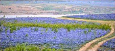 Au fait, pour être en accord avec le descriptif du quiz, quelle est l'orthographe de ce mot indiquant la difficulté à se prononcer pour faire un choix ?