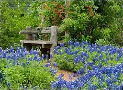 Certains parmi vous trouveront ce questionnaire -----.