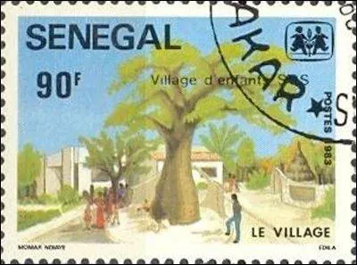 C'est un arbre africain du genre Adansonia et de la famille des Bombacaceae, vous avez reconnu le baobab.