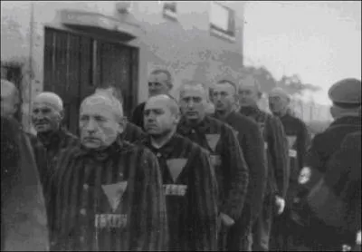 L'étoile jaune était le signe discriminatoire et de marquage, désignant les Juifs aux nazis lors des rafles.
A votre avis, quel symbole avaient choisi les nazis pour « repérer » les homosexuels dans les camps de concentration ?