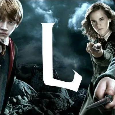 L. En un mot, comment dfiniriez-vous le professeur Lockhart ?