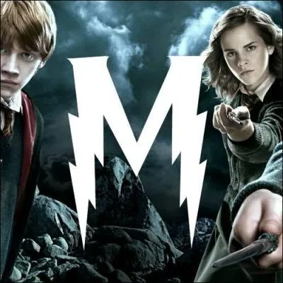 M. Pratique, je suis le transport prfr des sorciers en dtresse ! Je suis :