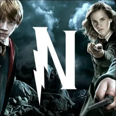 N. Le fantme de la maison Gryffondor se nomme Sir Nicholas de Mimsy-Porpington. Couramment, on m'appelle plutt...