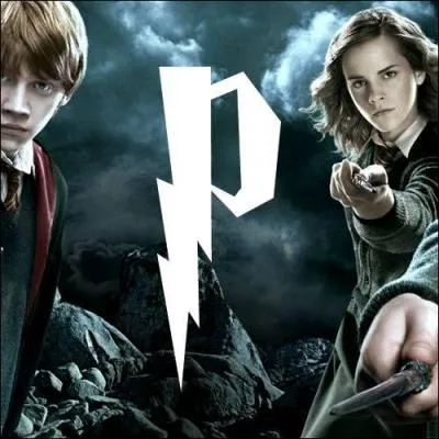 P. Quel est ce personnage sombre qui enseigne les potions au collge Poudlard ?