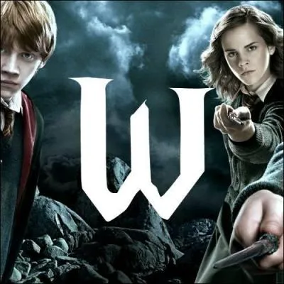 W. Quelle est la seule fille parmi tous les enfants de Molly et Arthur Weasley ?