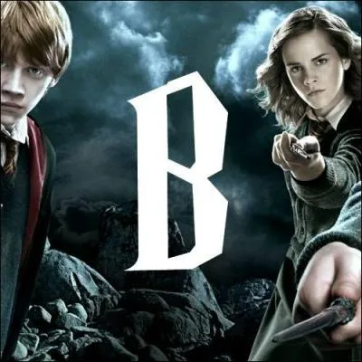 B. Lequel de ces balais n'existe pas ?